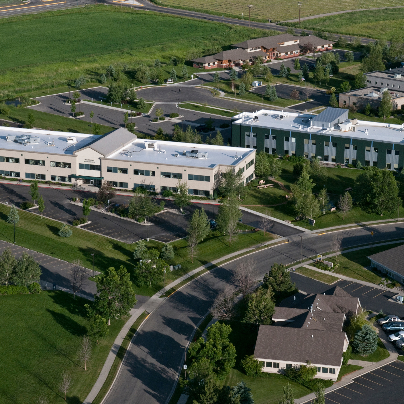 Molecular Biosciences _ Bozeman, MT _ 40,000 SF _ Office & Laboratory